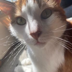 Meet your Posher, Arielle